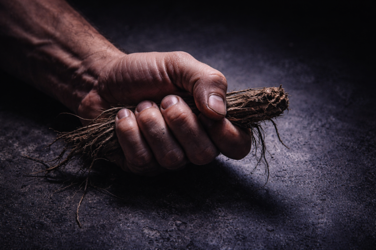 Physta®（トンカットアリ）の効果と最新研究エビデンス